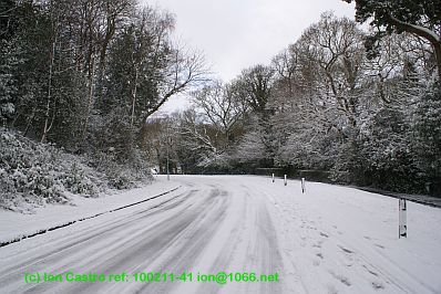 Hastings' Alexandra park in the Snow
